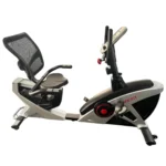 Deluxe Recumbent Bike Life Fit