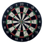 Lixind Dart Board Flocked