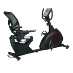 Deluxe Recumbent Bike TS