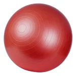 LifeTop Exercise Ball - Image 2